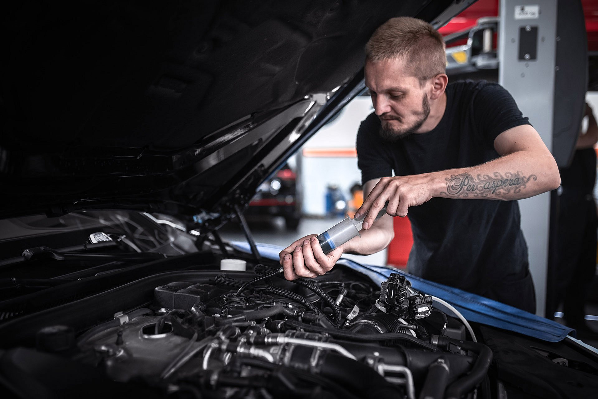 896A1151 копия.jpg