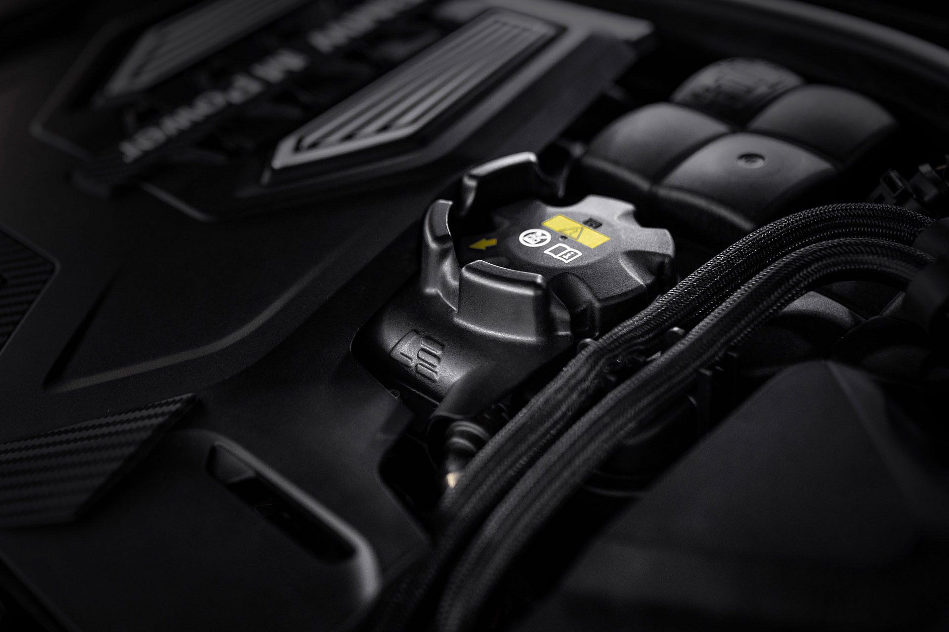 896A1224 копия.jpg