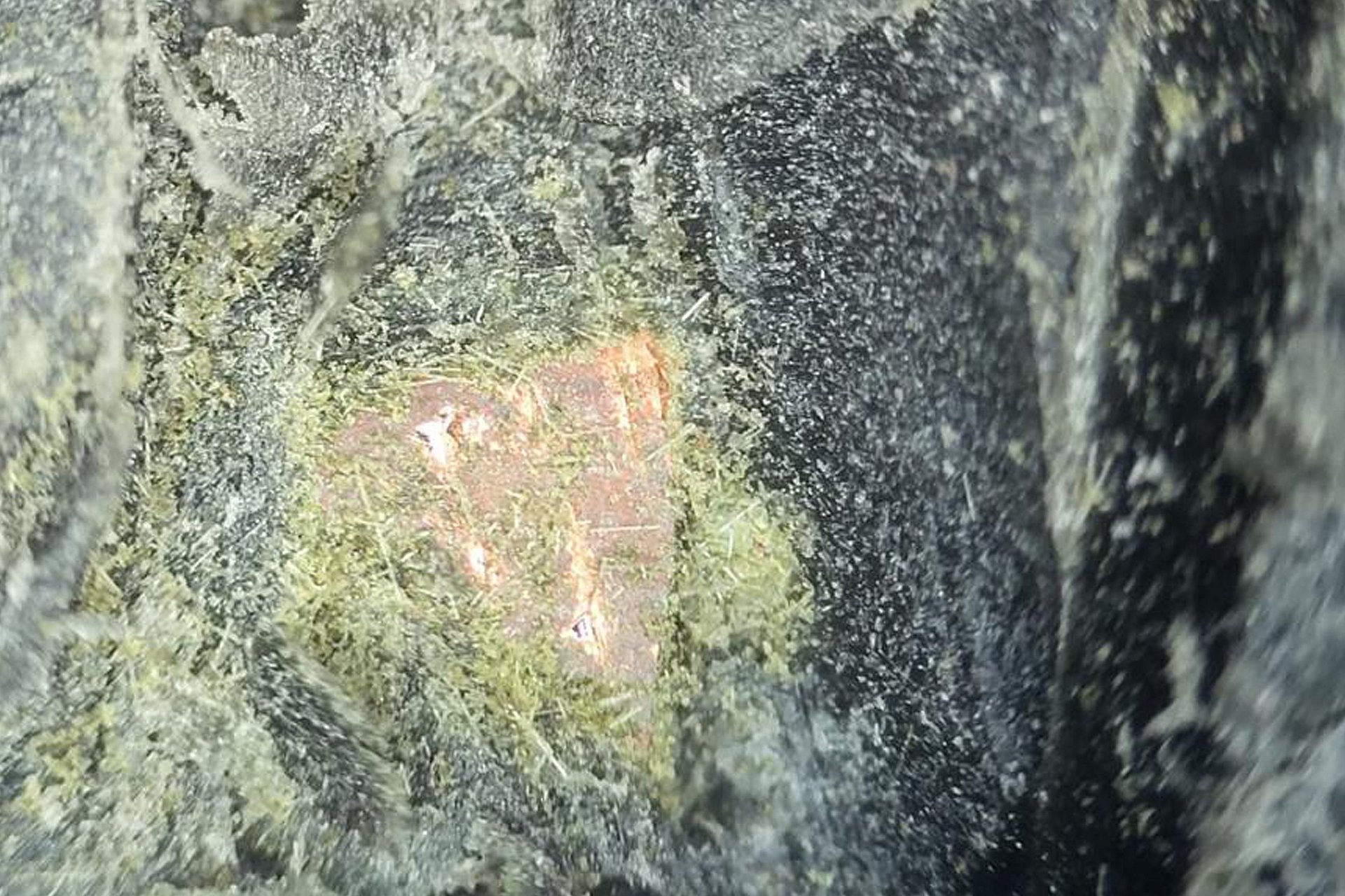 Микроскоп форсунки 3.jpg