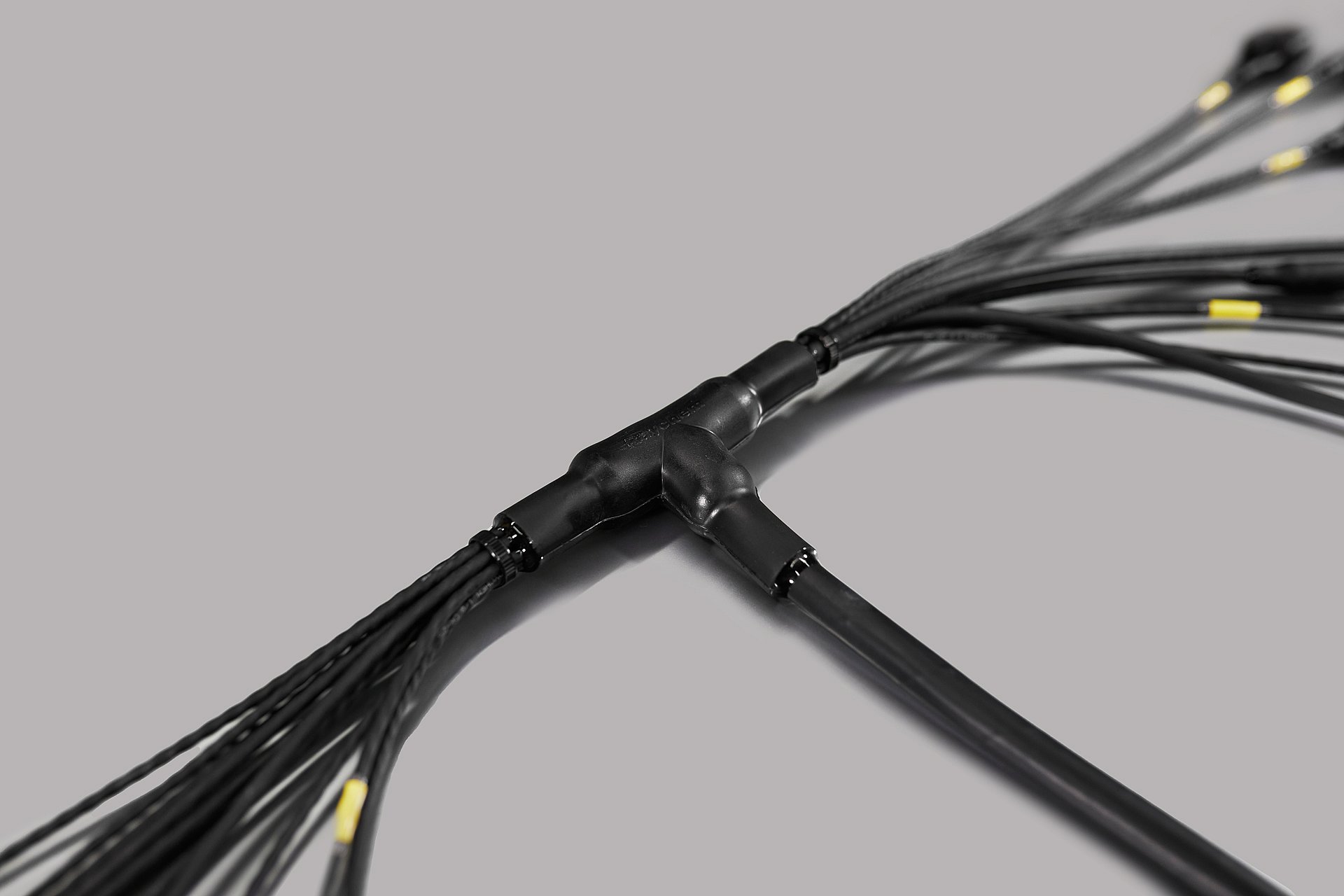 896A1414 копия.jpg