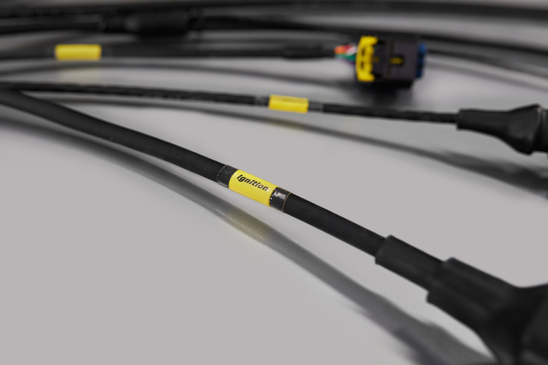 896A1425 копия.jpg