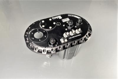 Radium Engineering Противоотливная станция FCST под насосы Walbro (замена на 20-1992-00) Фото