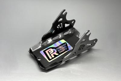 Pesegov Racing Parts Защита корпуса редуктора Winters Фото