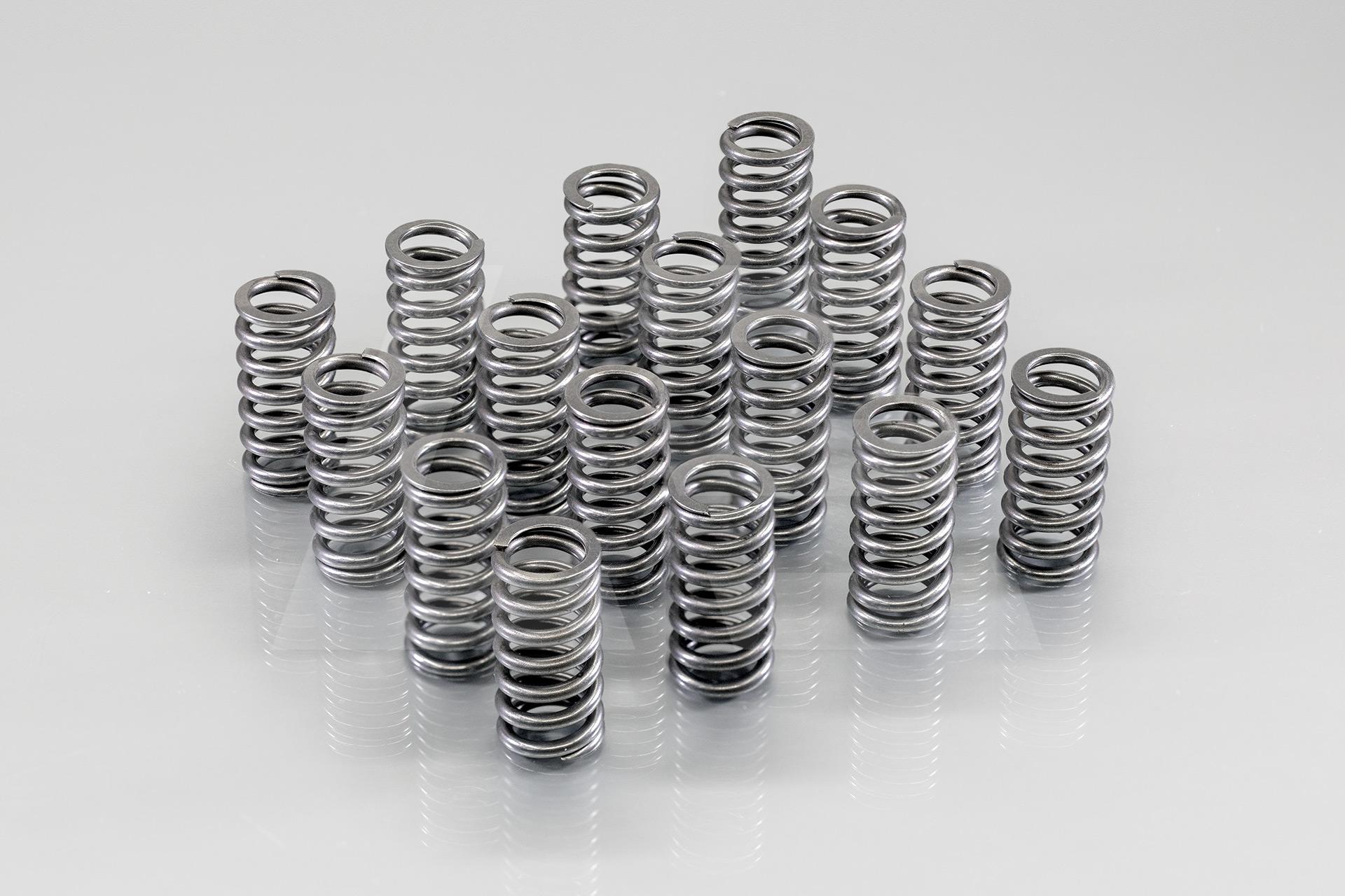 Supertech Пружины клапанов комплект Honda D16A6 Изображение №1