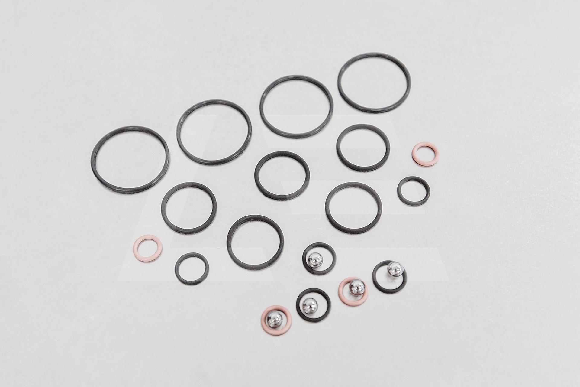 Dodson Motorsport Ремкомплект гидроблока (18 сальников + 5 шариков) КПП GR6 Изображение №1