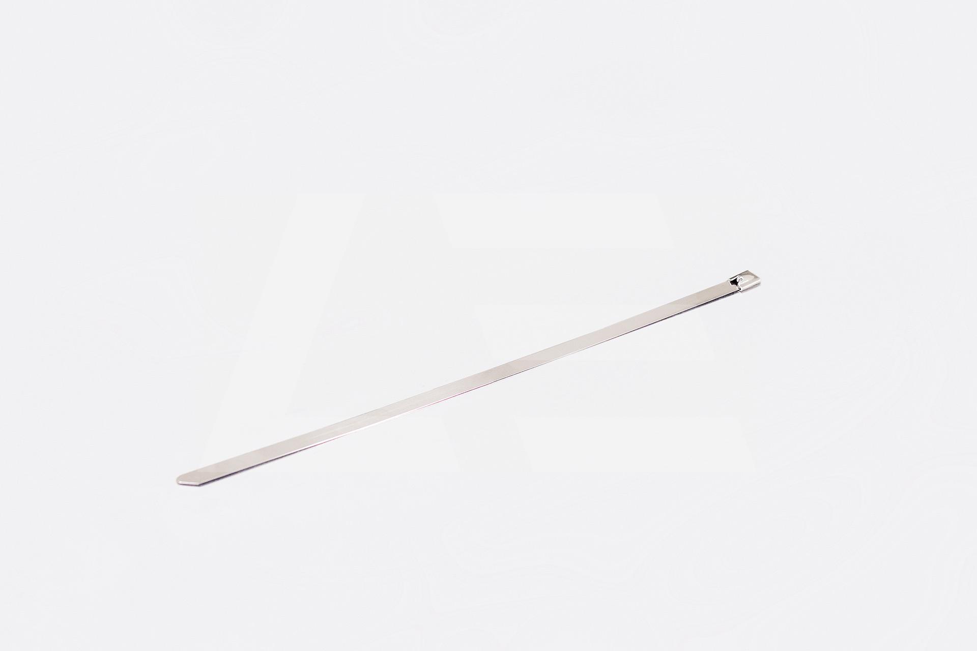 EPMAN Хомут ленточный 300*7,9мм, нержавеющ.сталь, серебристый Изображение №1